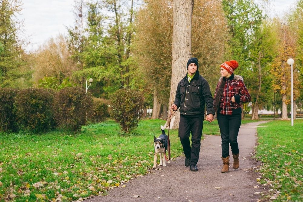 Chůze a její význam v prevenci bolestí zad